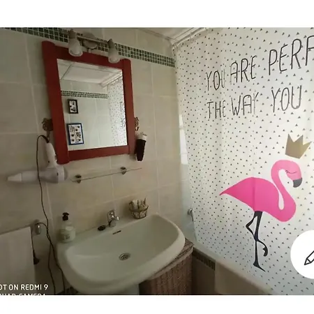 Santa Marina Flowers Córdoba